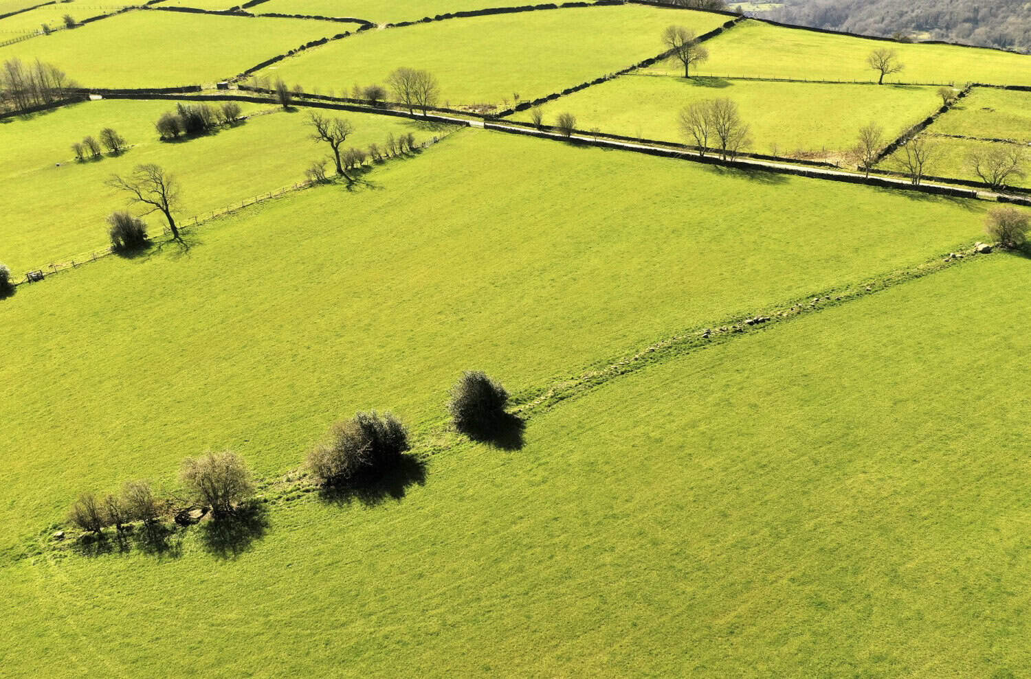 How Much Space Is 3 Acres?