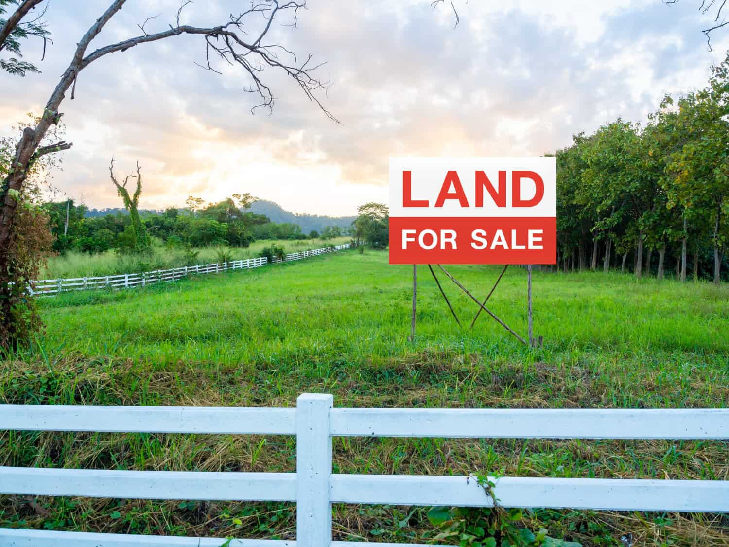 The Easiest Way to Sell Vacant Land in Oregon